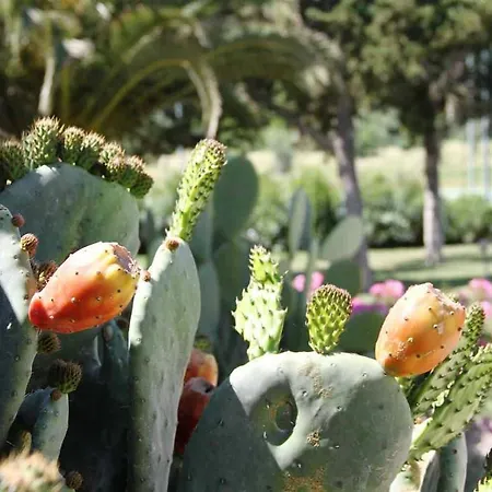 Hotell Country & Alghero