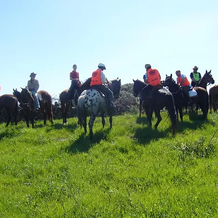 Country & 4* 알게로