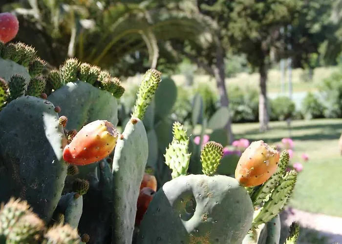 מלון Country & אלגהרו