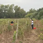 Отель Country & 4*